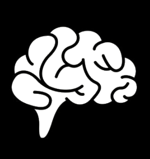 Psychological Evaluation Icon